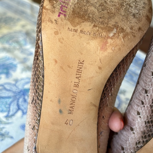 Python Manolos - Picture 7 of 11